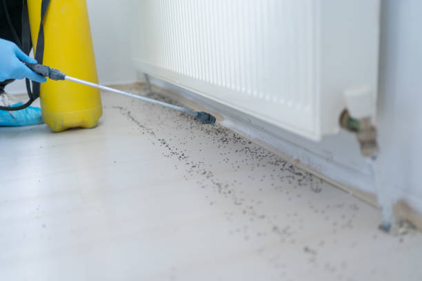 Best Affordable Pest Control Services  in Stewartstown, PA